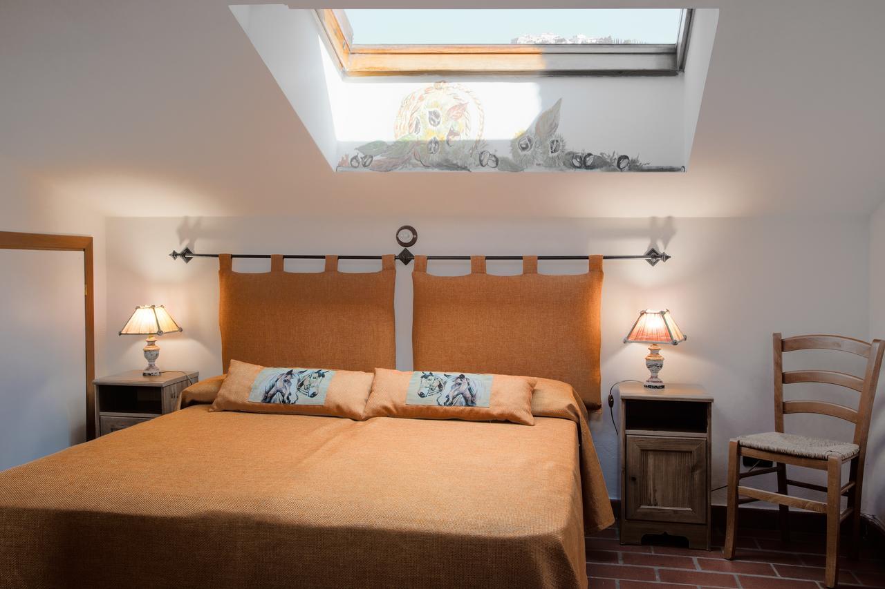 Agriturismo San Marco Rosignano Marittimo Bagian luar foto