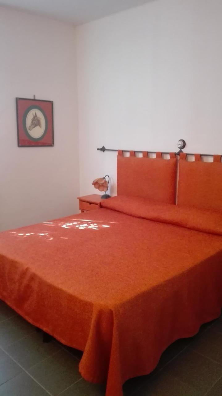 Agriturismo San Marco Rosignano Marittimo Bagian luar foto